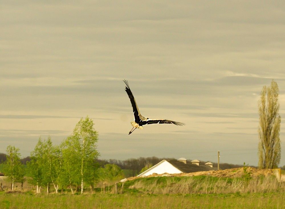 Photograph by Дарья Ващенко-Панкина