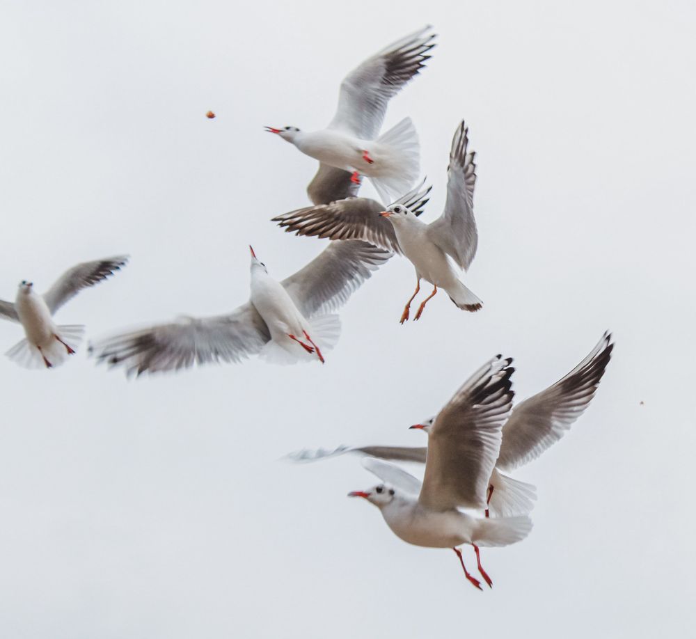 Photograph by Марина Ильева