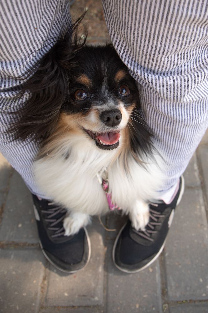 Photograph by Татьяна Арендаренко