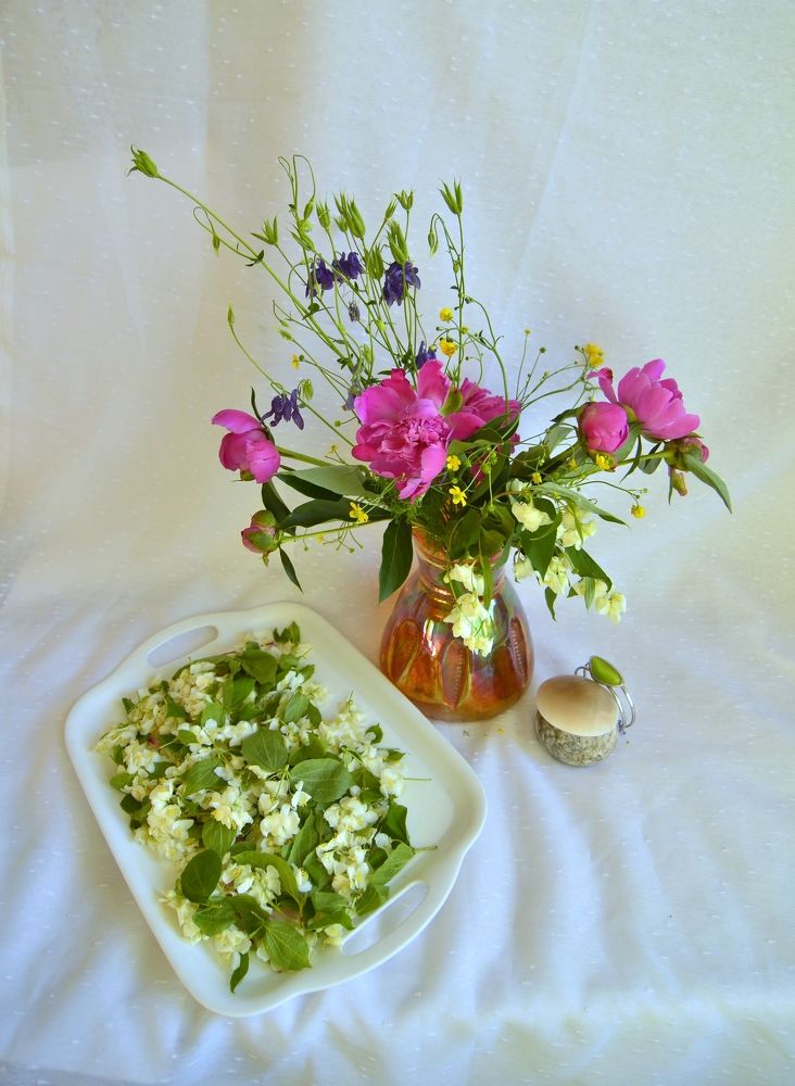 Фотография автора Клавдия Васильева