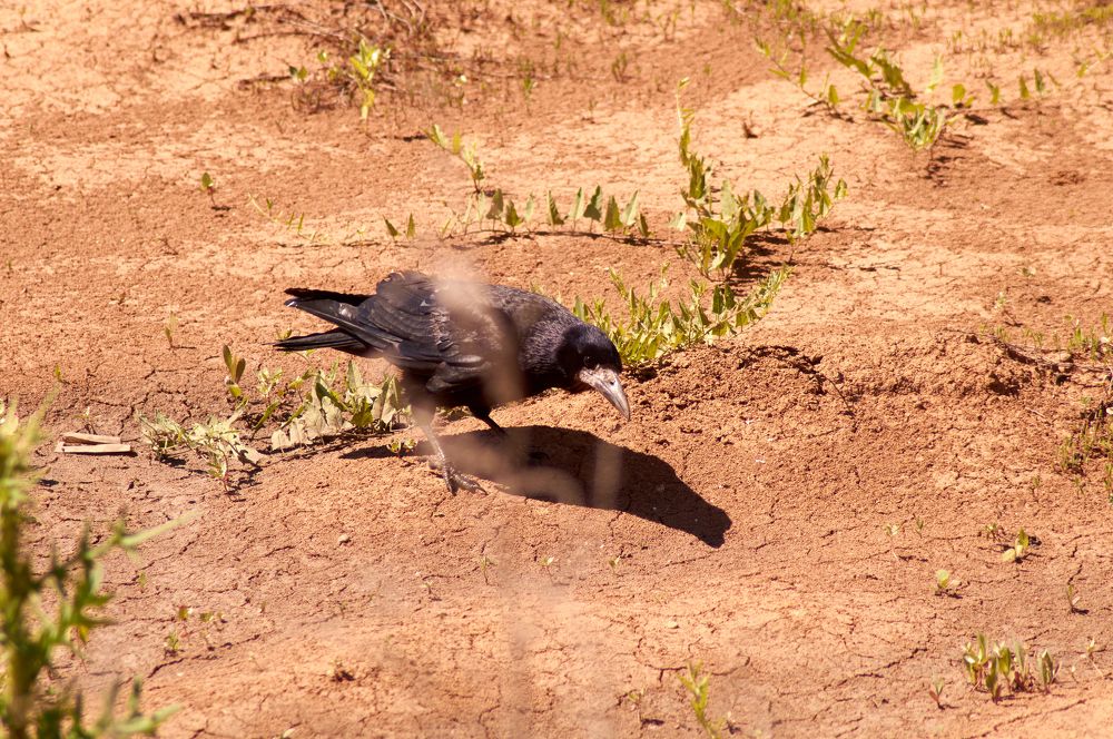 Photograph by Igor Kochkin