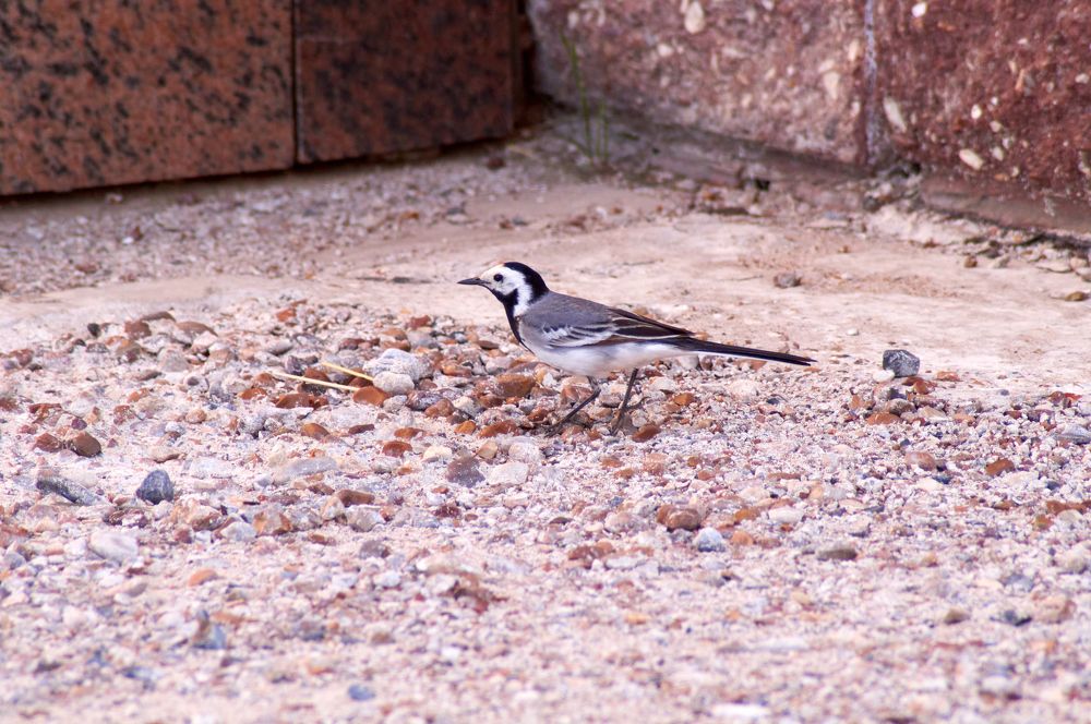 Photograph by Igor Kochkin