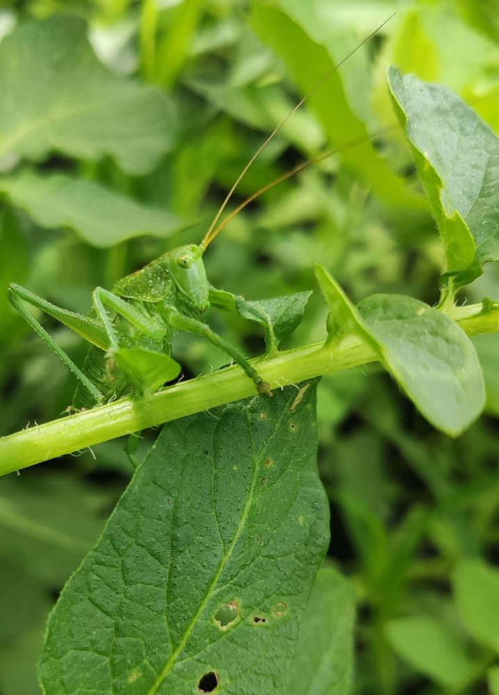 Photograph by Татьяна Панченко