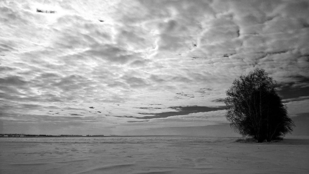 Photograph by Ирина Жукова