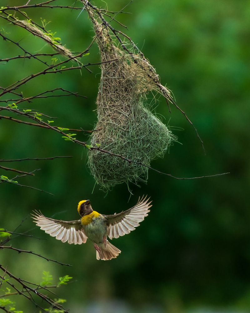 Photograph by Veeraiah Chowdary Kamepalli