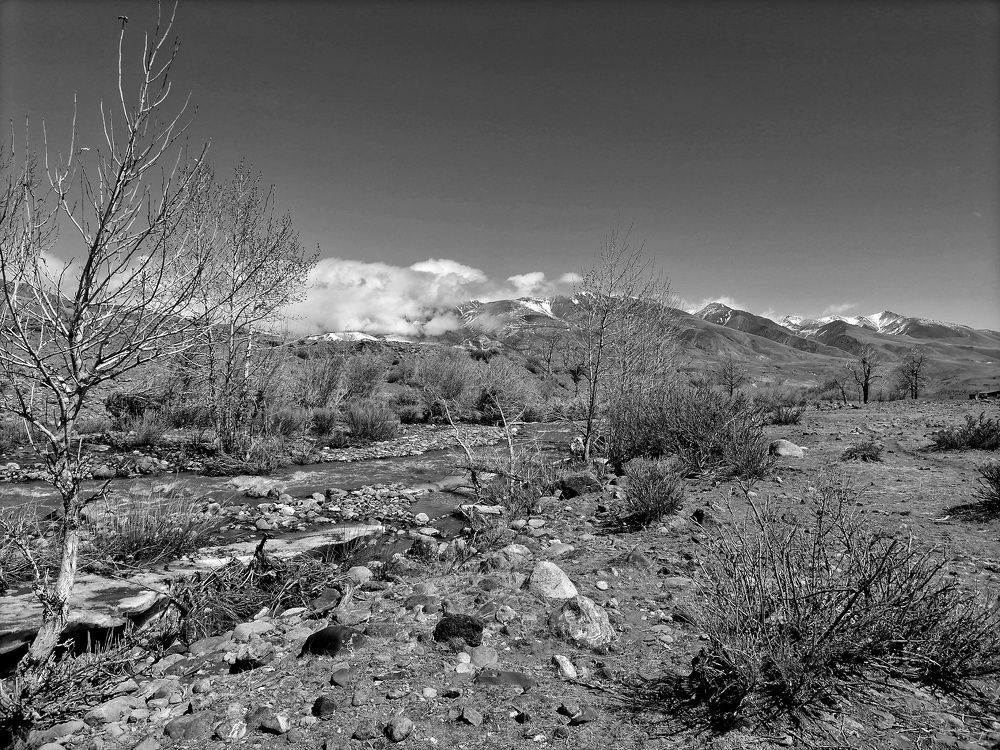 Photograph by Наталья Веряскина