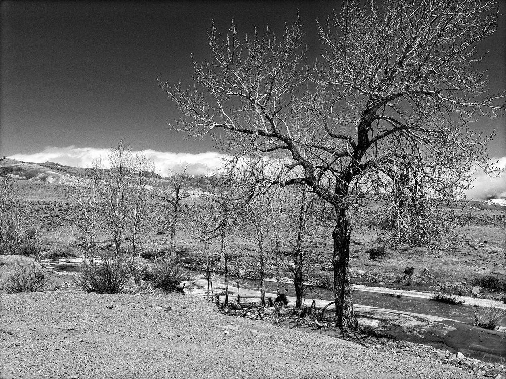 Photograph by Наталья Веряскина