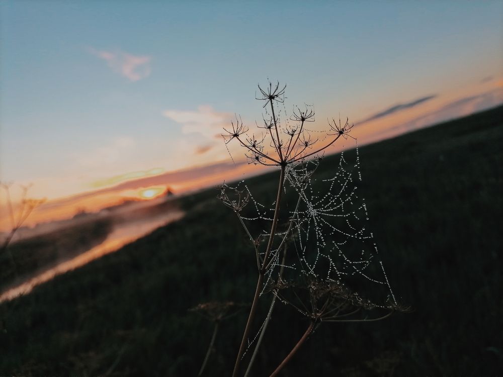 Photograph by Наталья Веряскина