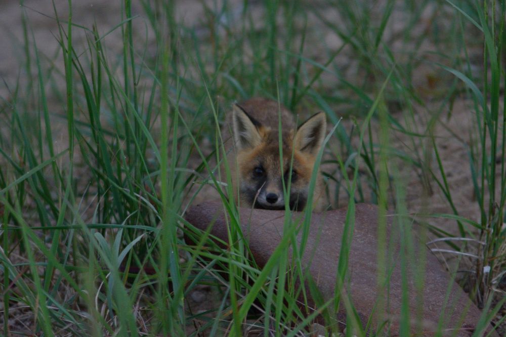 Photograph by Алексей Ильин