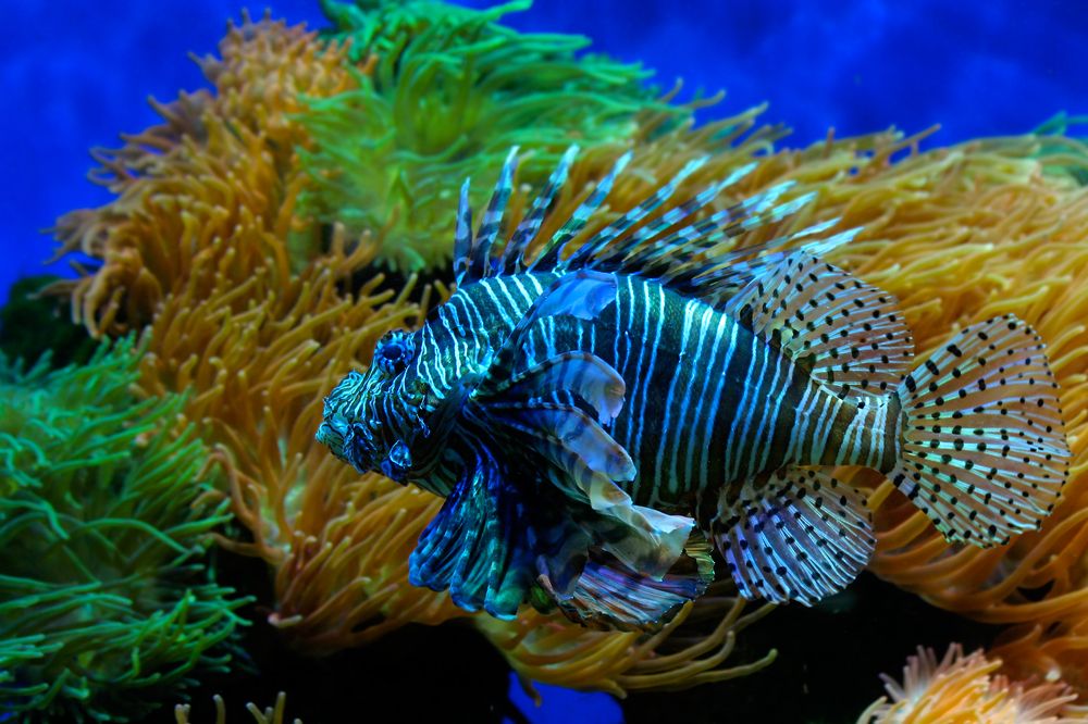 Photograph by Шмидт Юрген