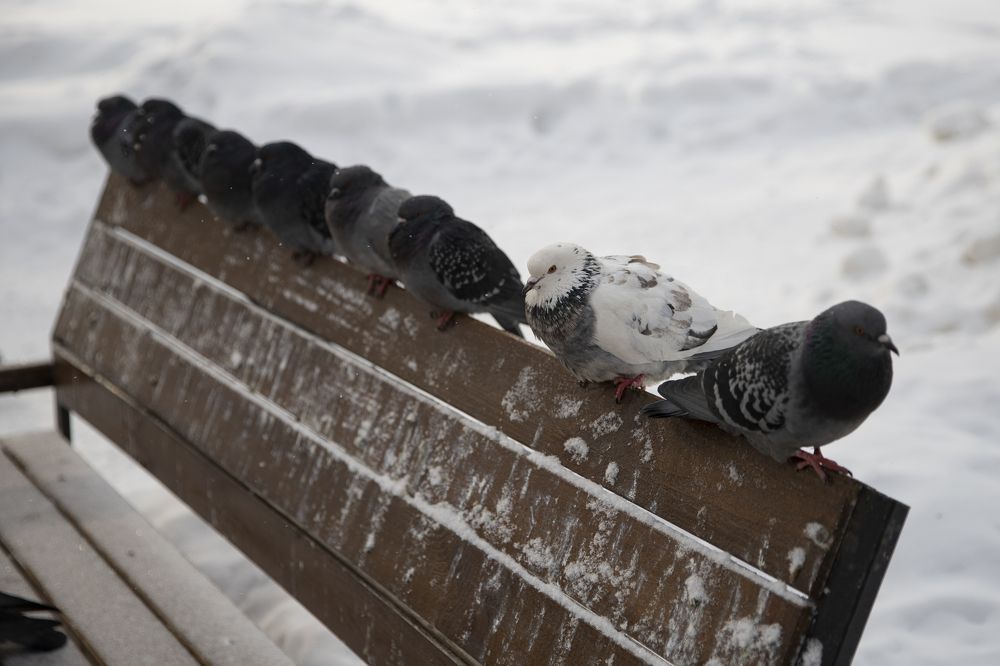 Photograph by Иван Соловьёв