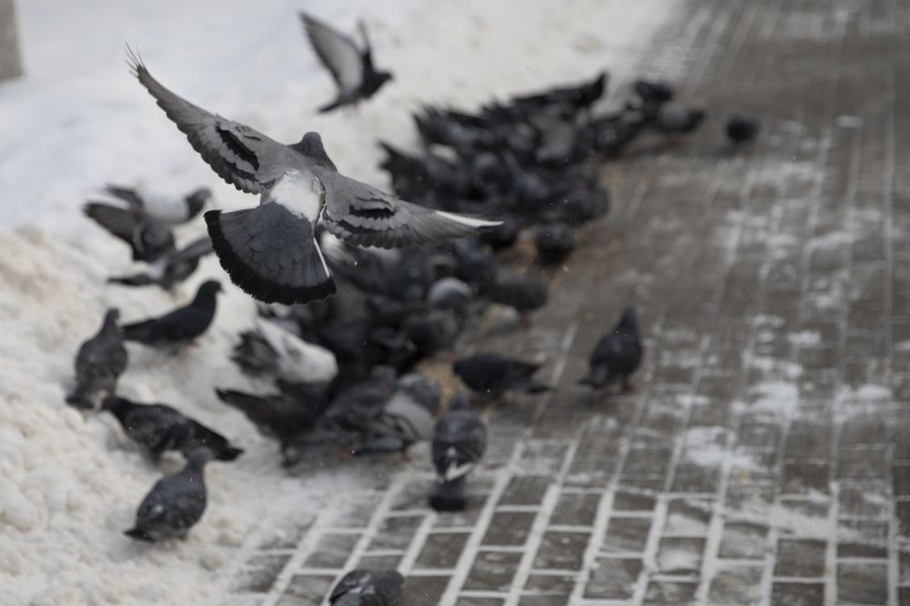 Photograph by Иван Соловьёв