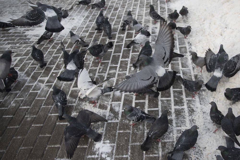 Photograph by Иван Соловьёв