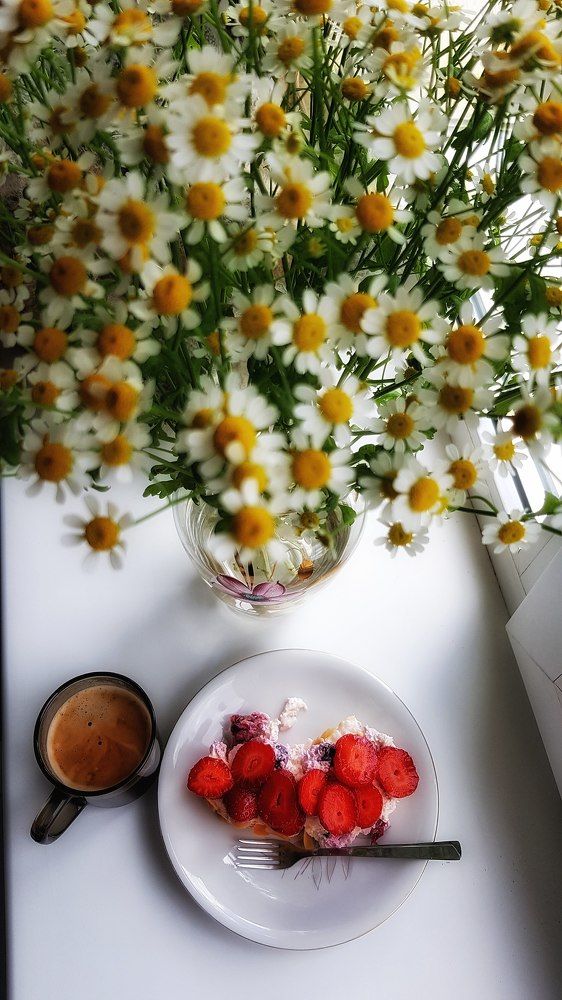 Фотография автора Дана Богинская