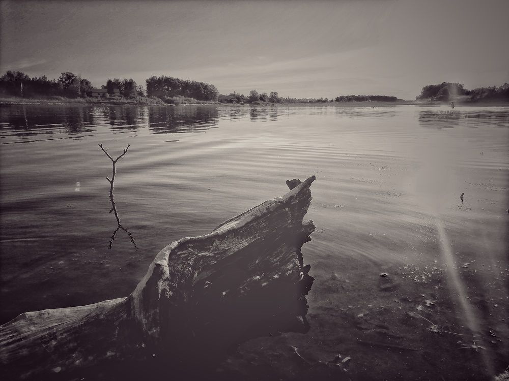 Photograph by Наталья Веряскина