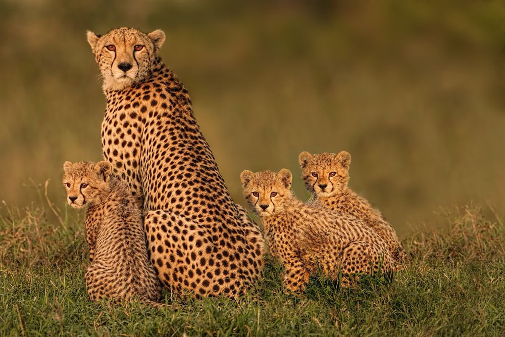 Photograph by Graeme Guy