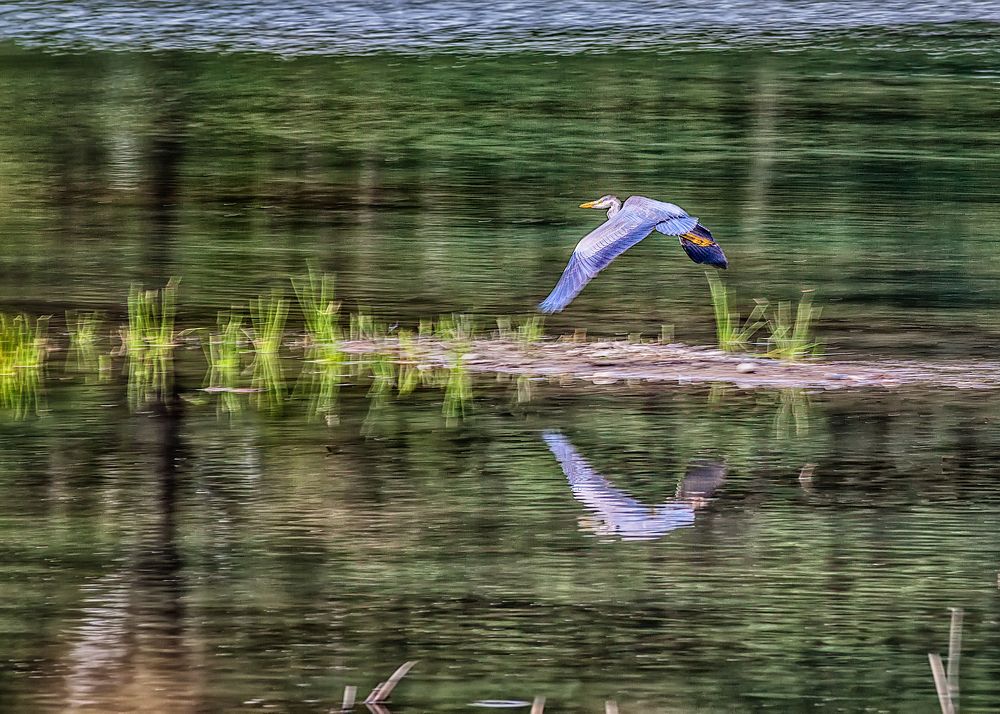 Photograph by Владимир Кваша