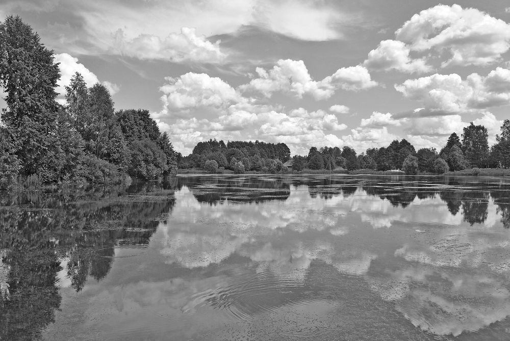 Photograph by Алексей