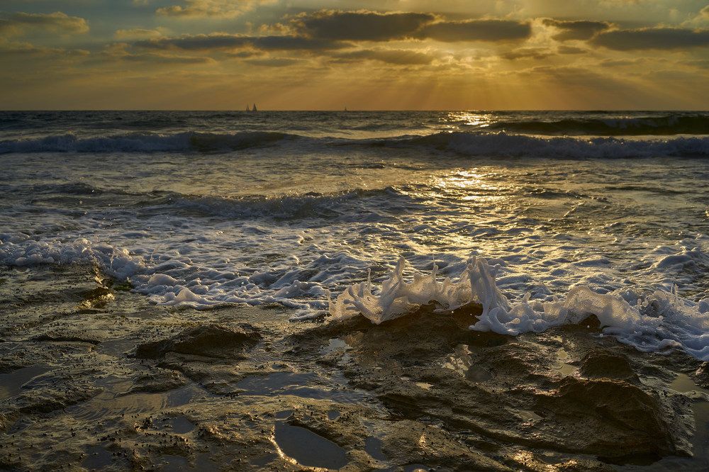 Фотография автора David Solodar