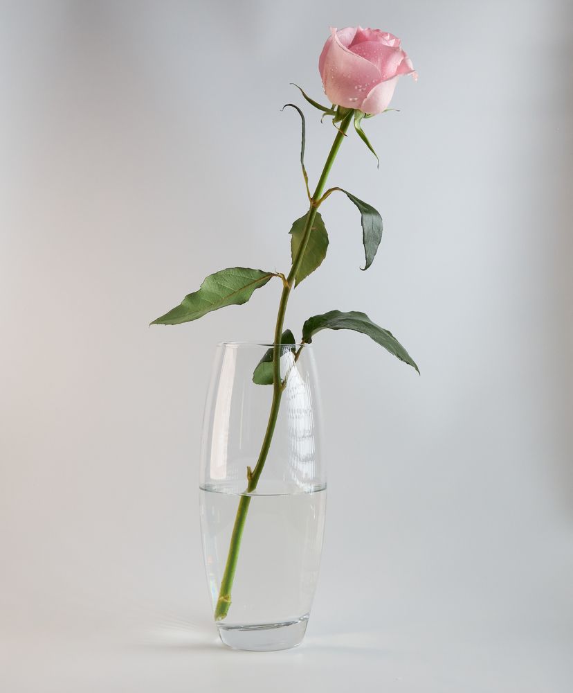 Фотография автора Вадим Бороненков