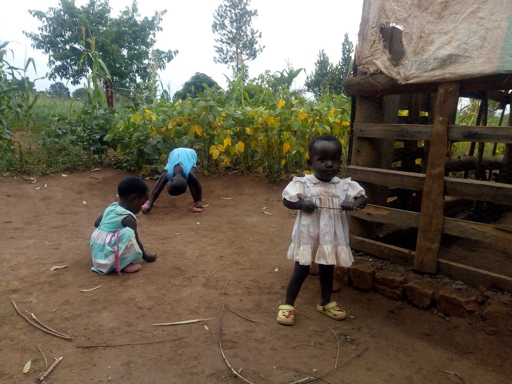 Photo #7740454