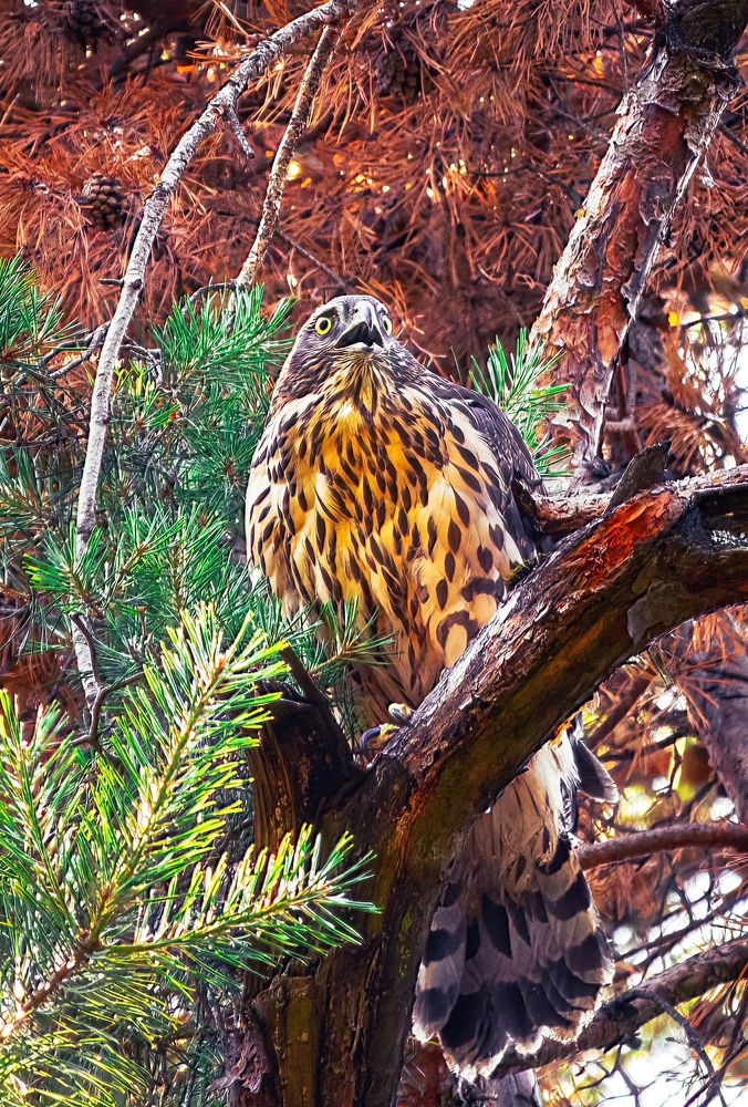 Photograph by Парфентьев Антон