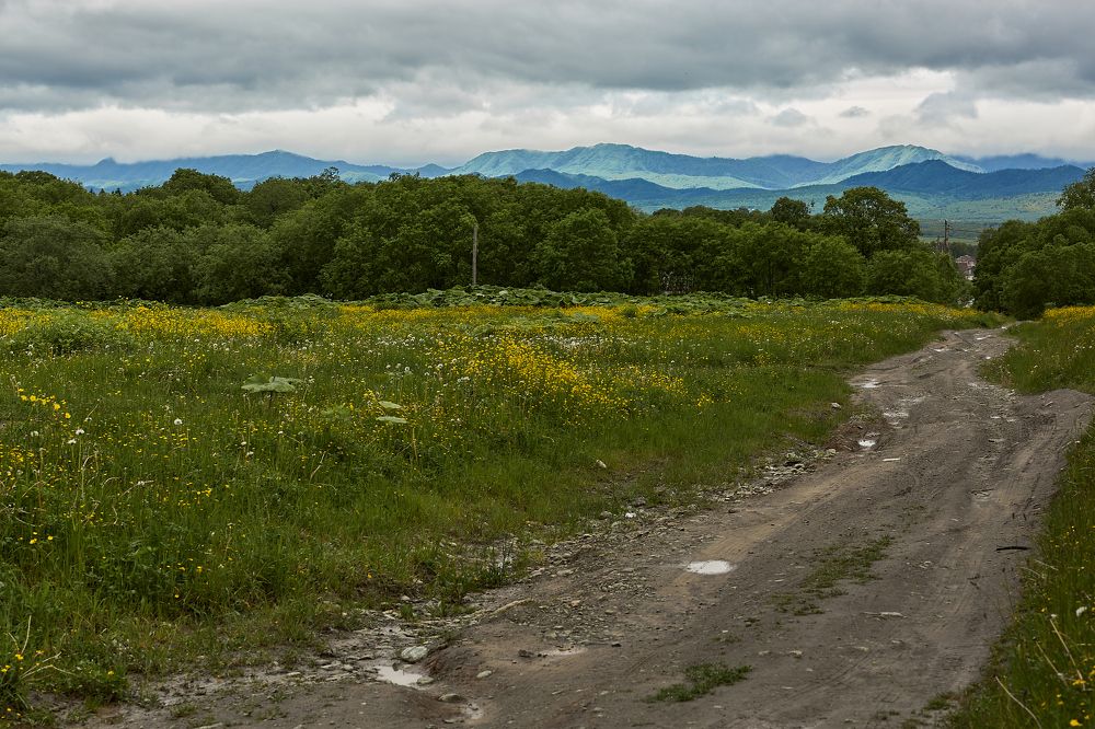 Фотография автора Ольга Бороненкова