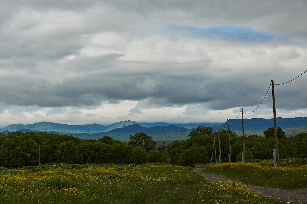 Фотография автора Ольга Бороненкова