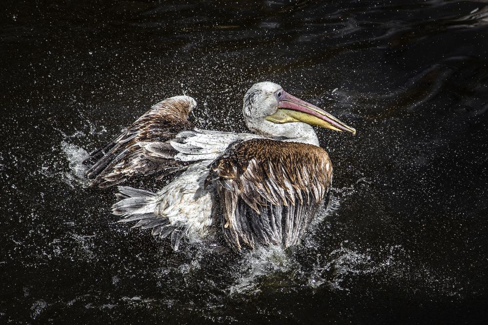 Photograph by Руслан Орлов