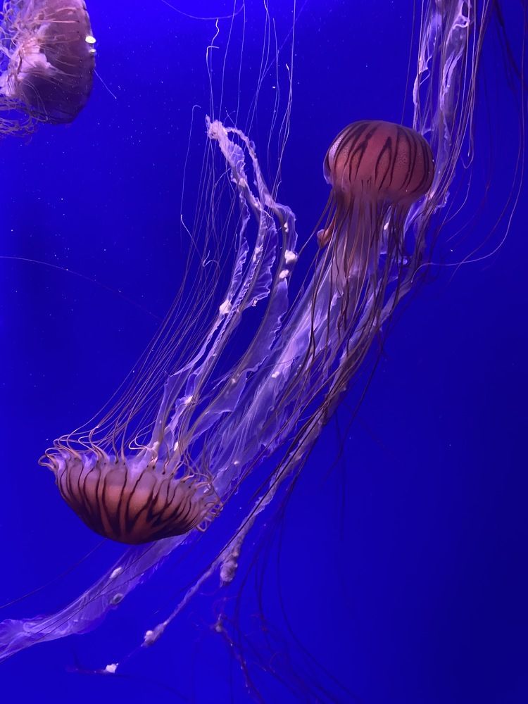 Photograph by Константин Нагорняк