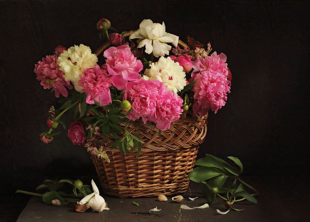 Фотография автора ТАТЬЯНА ЗАХАРОВА