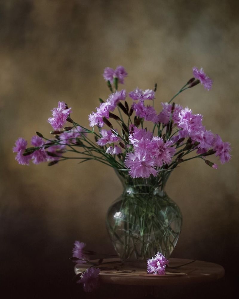 Photograph by Наталья Лукьянчук