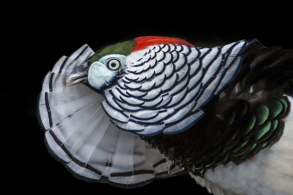 Photograph by Руслан Орлов