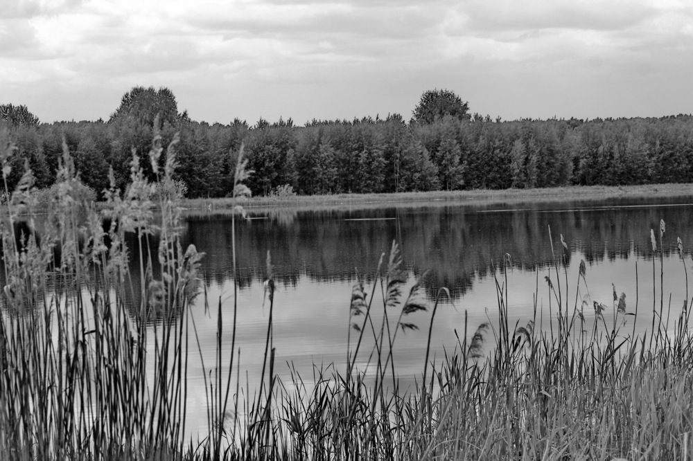 Photograph by Николай Николаевич Леухин