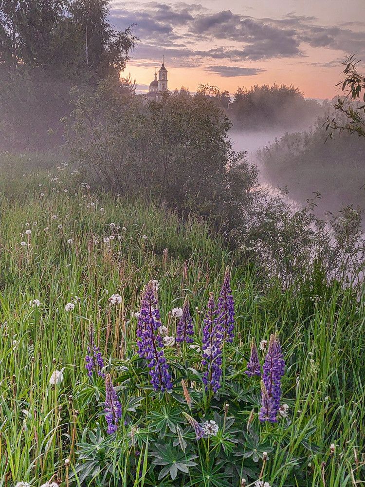 Photograph by Владимир Брагилевский
