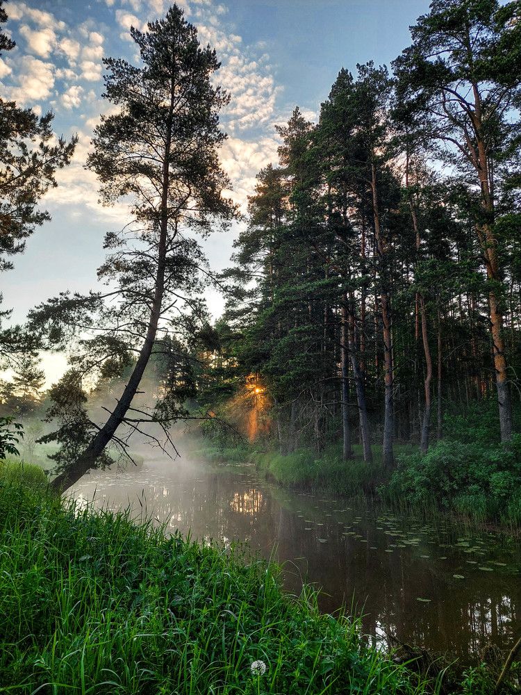 Photograph by Владимир Брагилевский