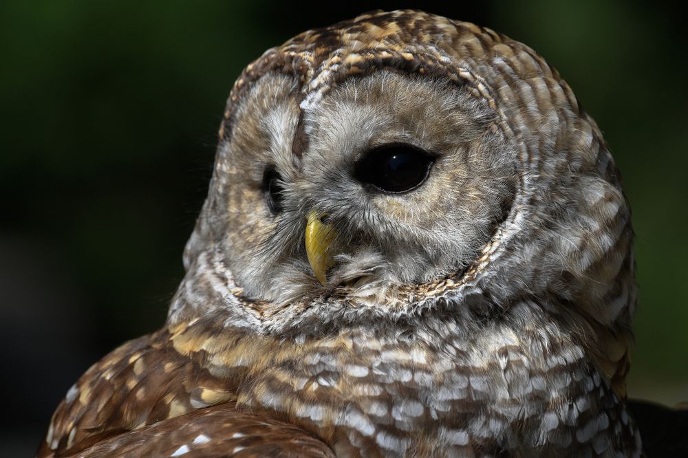 Photograph by Nathalie Talbot