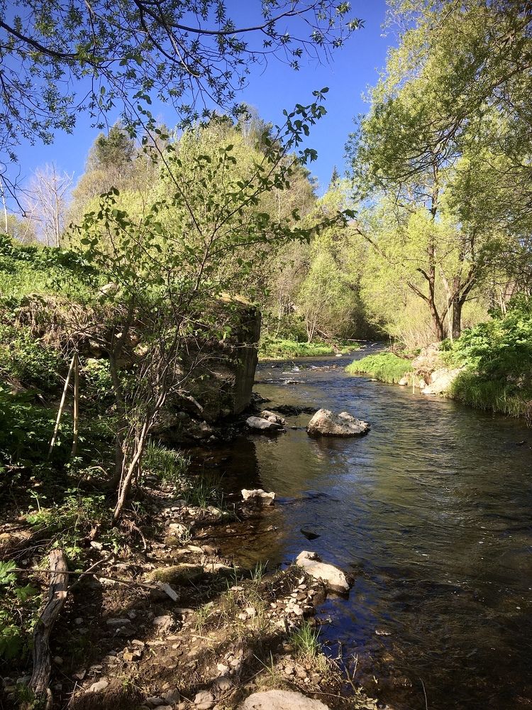 Photograph by Лев Марков