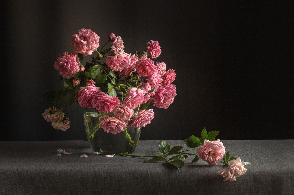 Photograph by Ирина Лаврова