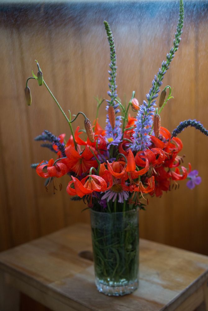 Photograph by Надежда Моряхина