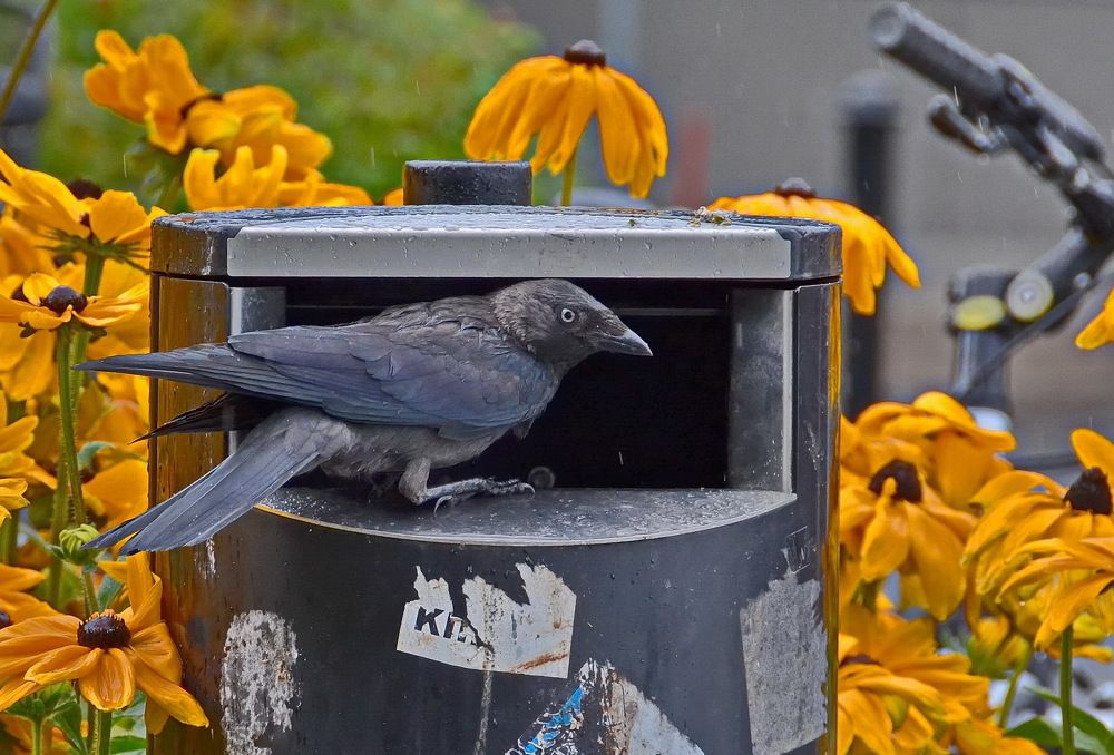 Photograph by Лидия Ушакова