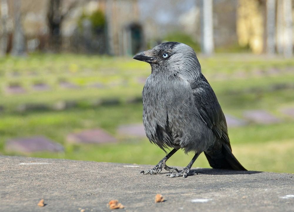 Photograph by Лидия Ушакова