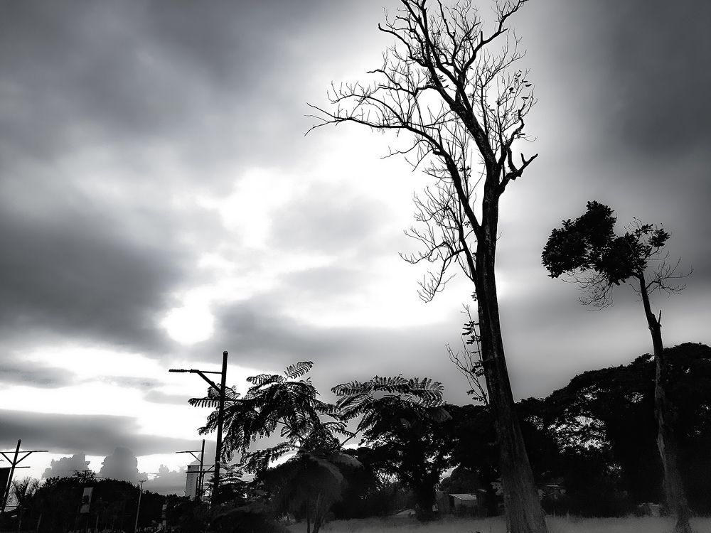 Photograph by Andrew Altarejos