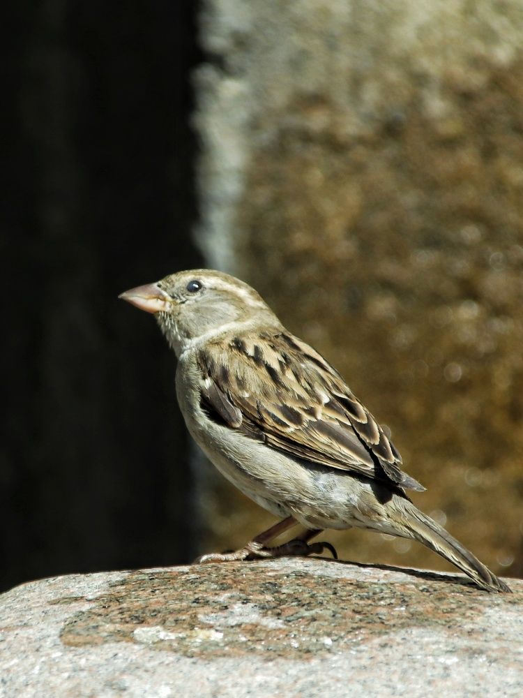 Photograph by Olga Asson