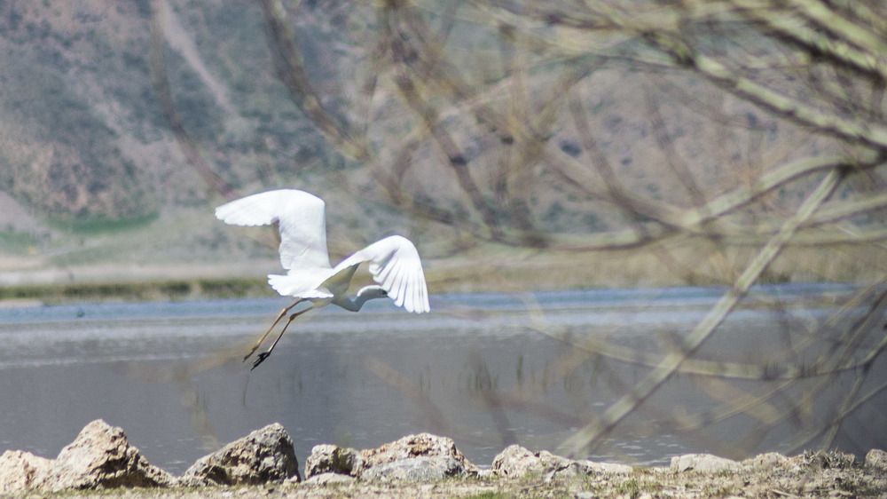 Photograph by Reza Mohammadi