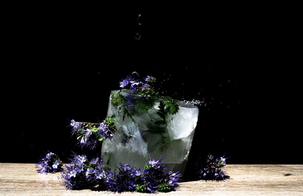 Фотография автора Наталья Кирпичёва