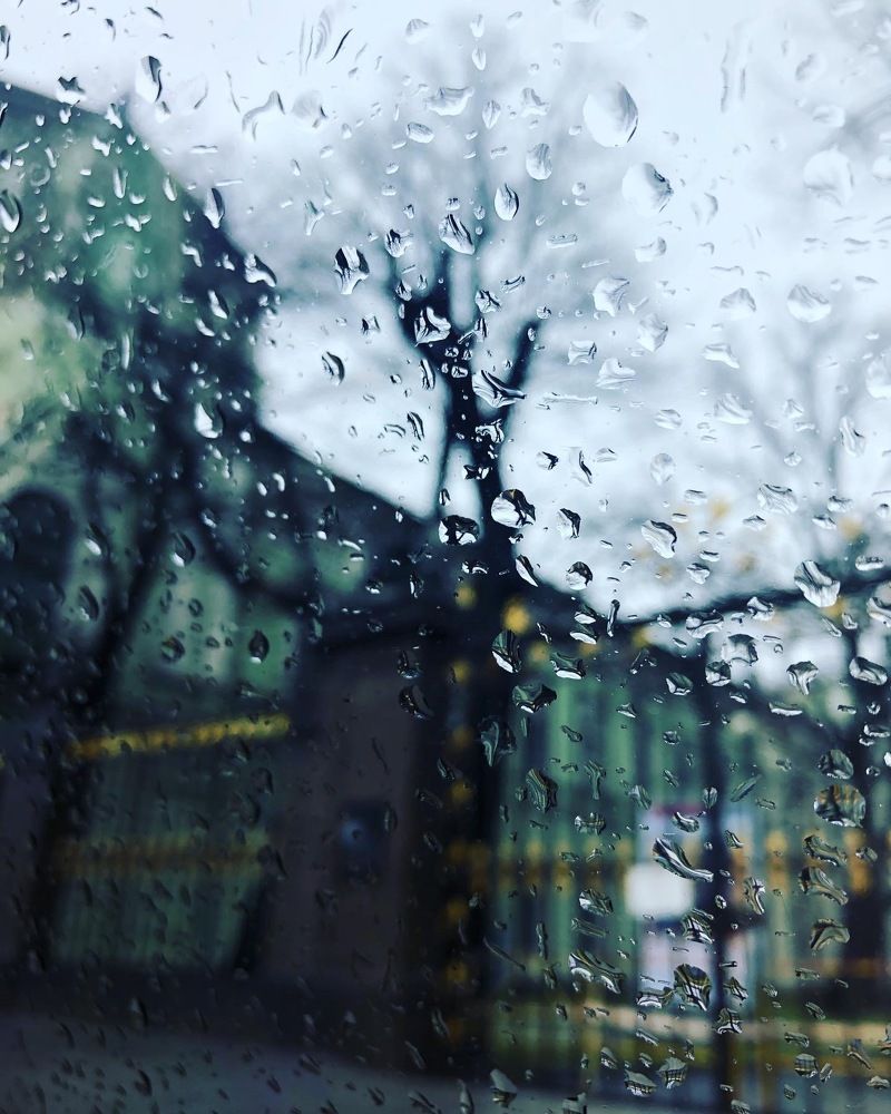 Photograph by Ali Boyko