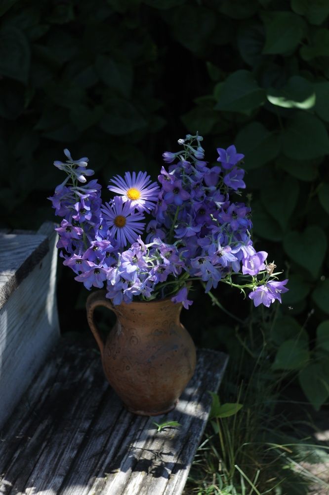 Photograph by Татьяна Аршинова