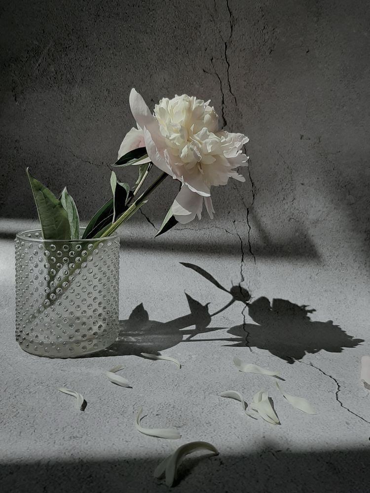 Photograph by Оксана Корепанова