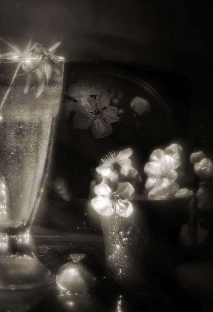 Photograph by Максим Митченко